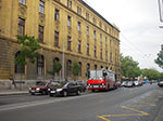 IMGP2619.jpg