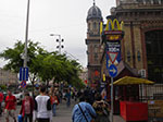 IMGP2620.jpg