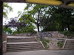 IMGP2624.jpg