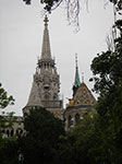 IMGP2650.jpg