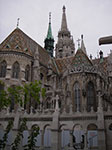 IMGP2678.jpg
