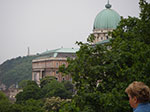 IMGP2718.jpg