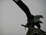 IMGP2732.jpg