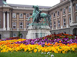 IMGP2747.jpg