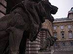 IMGP2754.jpg