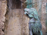 IMGP2759.jpg