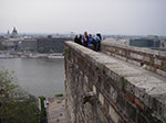 IMGP2761.jpg