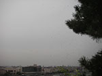 IMGP2773.jpg