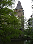 IMGP2917.jpg