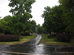 IMGP2953.jpg