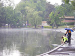 IMGP2956.jpg