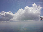 IMGP3096.jpg