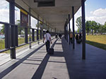 IMGP3099.jpg