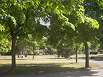 IMGP3105.jpg