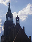 IMGP3115.jpg