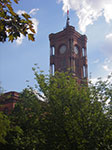 IMGP3122.jpg