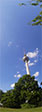 IMGP3123-pan.jpg