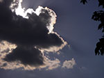 IMGP3133.jpg