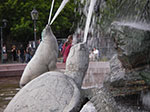 IMGP3138.jpg
