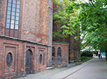 IMGP3142.jpg