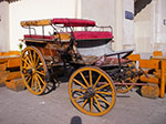 IMGP3143.jpg