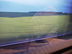 IMGP3147.jpg