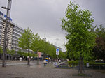 IMGP3164.jpg