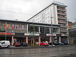 IMGP3167.jpg