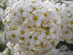 IMGP3176.jpg