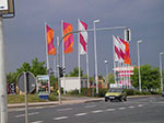 IMGP3193.jpg