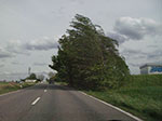 IMGP3204.jpg