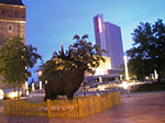 IMGP3213.jpg
