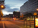IMGP3215.jpg