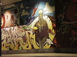 IMGP3218.jpg