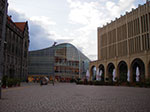IMGP3295.jpg