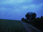 IMGP3365.jpg