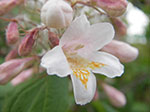 IMGP3370.jpg