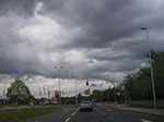 IMGP3387.jpg