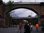 IMGP3431.jpg
