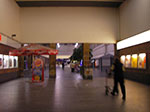 IMGP3515.jpg