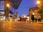IMGP3520.jpg