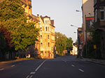 IMGP3539.jpg