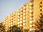 IMGP3546.jpg