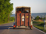 IMGP3567.jpg