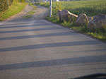 IMGP3574.jpg