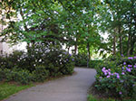 IMGP3644.jpg