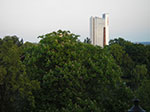 IMGP3648.jpg