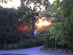 IMGP3650.jpg