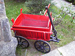 IMGP3662.jpg