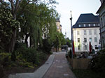 IMGP3669.jpg